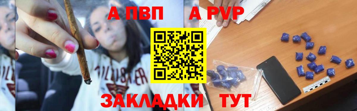 Alfa_PVP СК Камышлов