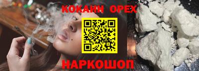 молекула духа Кандалакша