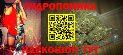 ECSTASY Канаш