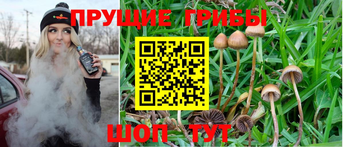 Псилоцибиновые грибы GOLDEN TEACHER Камышлов