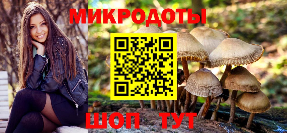 Псилоцибиновые грибы Cubensis  Вход с VPN  Камышлов 